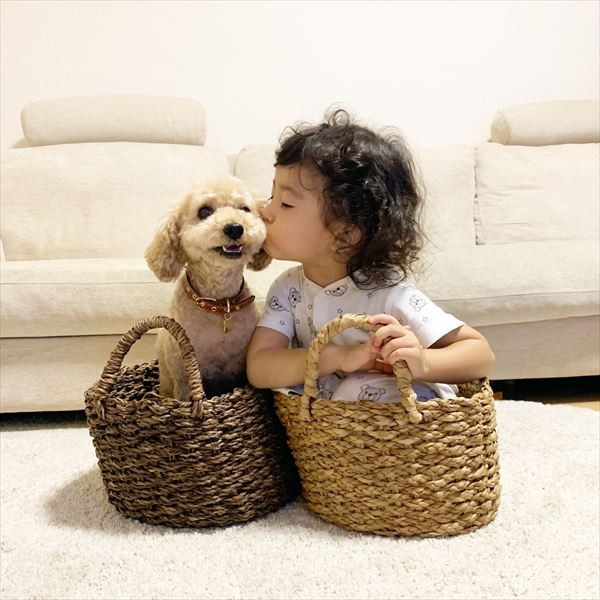 摜񋟁F䂸i@mie.yzcj