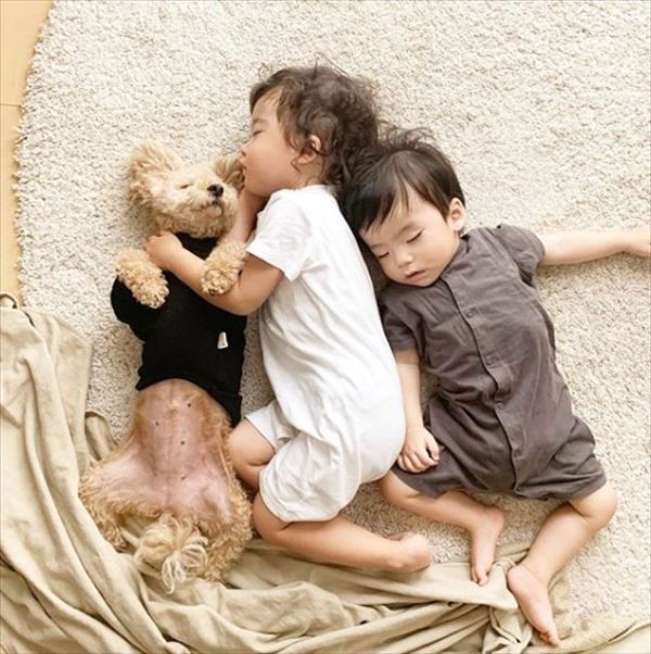 摜񋟁F䂸i@mie.yzcj