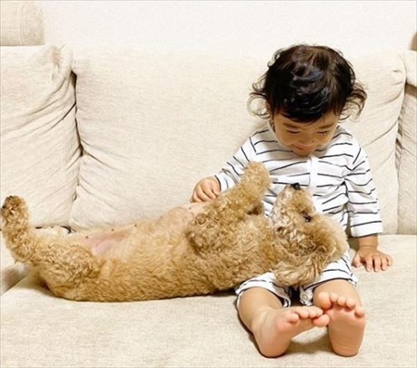 摜񋟁F䂸i@mie.yzcj