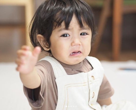 摜񋟁Fharu mamai@s.h.m.a.oj