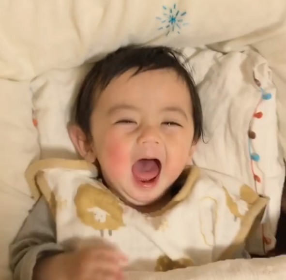 摜񋟁Fharu mamai@s.h.m.a.oj