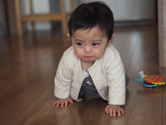 摜񋟁Fharu mamai@s.h.m.a.oj