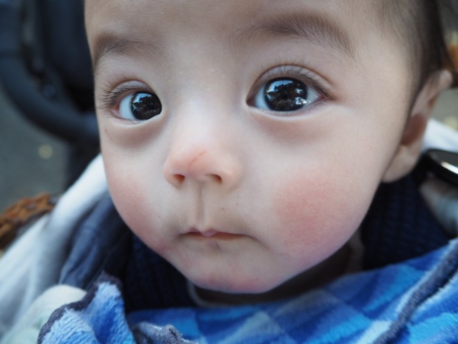 摜񋟁Fharu mamai@s.h.m.a.oj