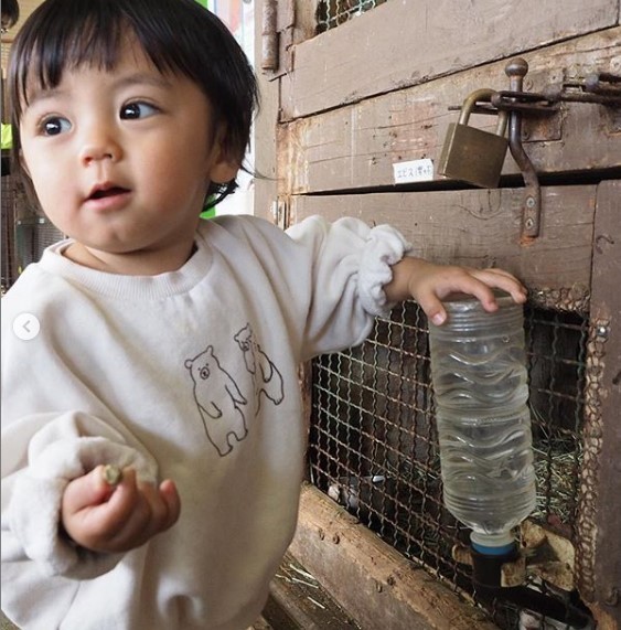 摜񋟁Fharu mamai@s.h.m.a.oj