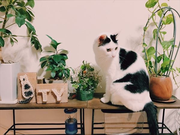 摜񋟁Frie morimotoi@rie_mrmtj