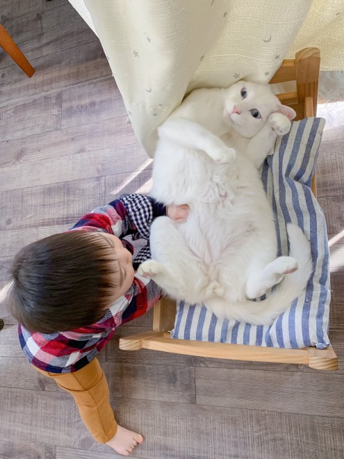 1˂̒j̎qɖYuvVb^[Lṽu񂽂̓