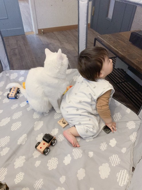 1˂̒j̎qɖYuvVb^[Lṽu񂽂̓