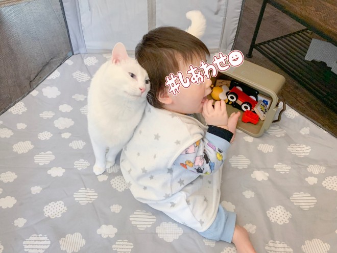 1˂̒j̎qɖYuvVb^[Lṽu񂽂̓