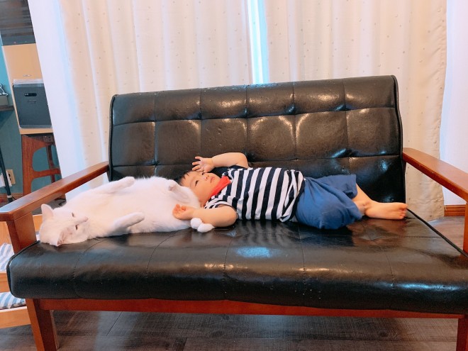 1˂̒j̎qɖYuvVb^[Lṽu񂽂̓