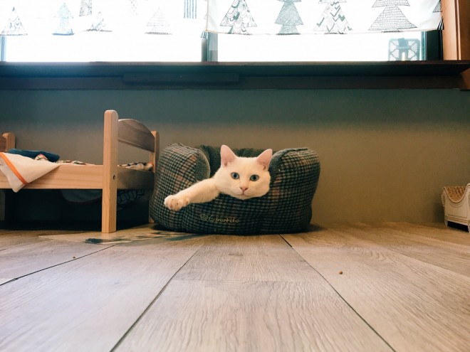 1˂̒j̎qɖYuvVb^[Lṽu񂽂̓