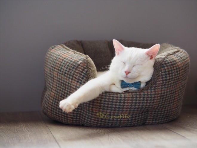 1˂̒j̎qɖYuvVb^[Lṽu񂽂̓