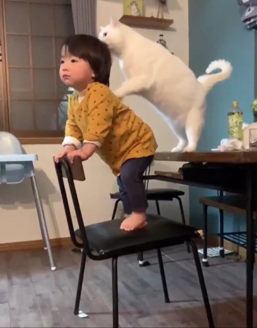 1˂̒j̎qɖYuvVb^[Lṽu񂽂̓