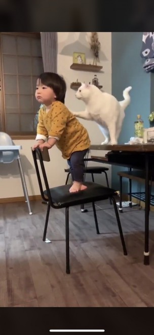 1˂̒j̎qɖYuvVb^[Lṽu񂽂̓