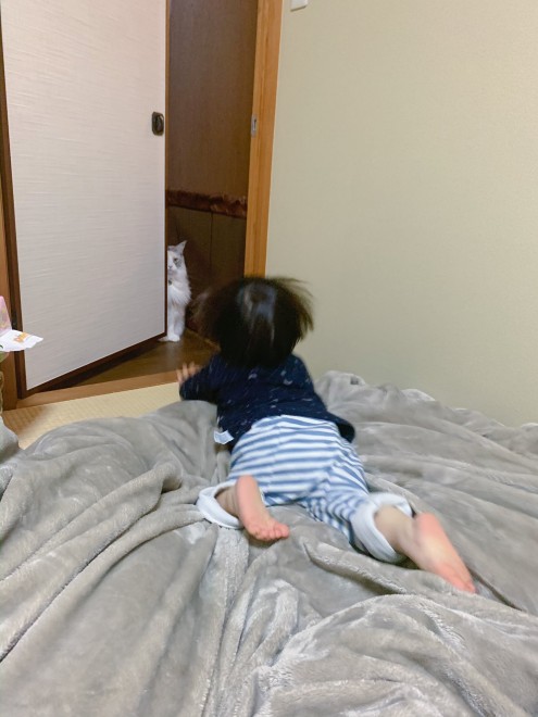 1˂̒j̎qɖYuvVb^[Lṽu񂽂̓