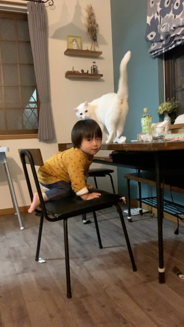 1˂̒j̎qɖYuvVb^[Lṽu񂽂̓