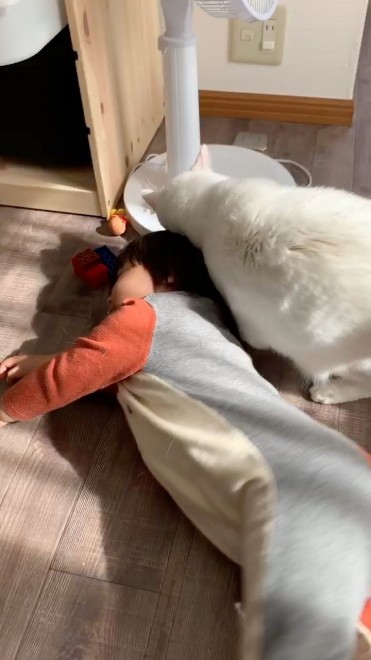 1˂̒j̎qɖYuvVb^[Lṽu񂽂̓