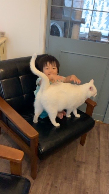 1˂̒j̎qɖYuvVb^[Lṽu񂽂̓