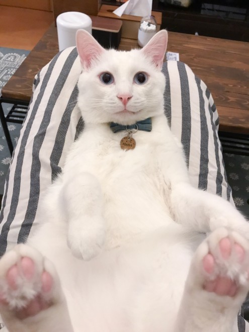 1˂̒j̎qɖYuvVb^[Lṽu񂽂̓