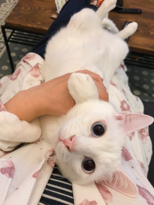 1˂̒j̎qɖYuvVb^[Lṽu񂽂̓