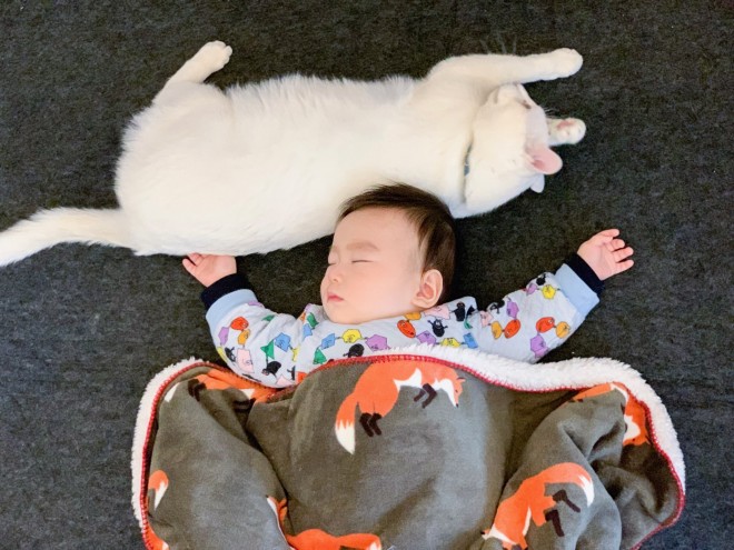 1˂̒j̎qɖYuvVb^[Lṽu񂽂̓