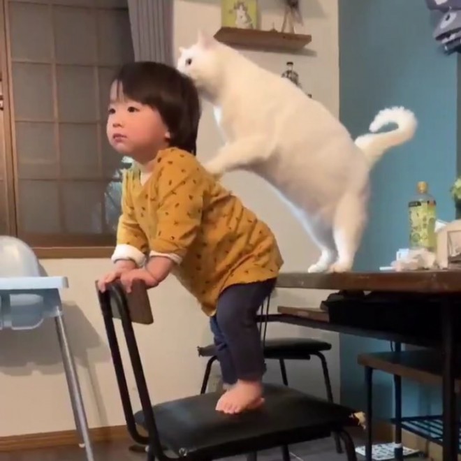 1˂̒j̎qɖYuvVb^[Lṽu񂽂̓