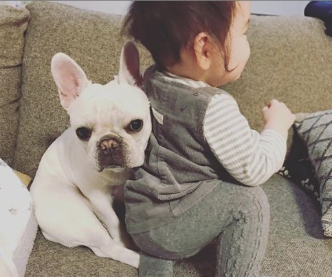 ǂuhbOƏ̎q@摜񋟁FcLƃAJi@muu____0919j