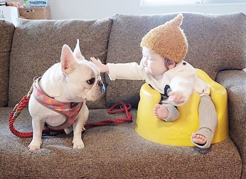 ǂuhbOƏ̎q@摜񋟁FcLƃAJi@muu____0919j