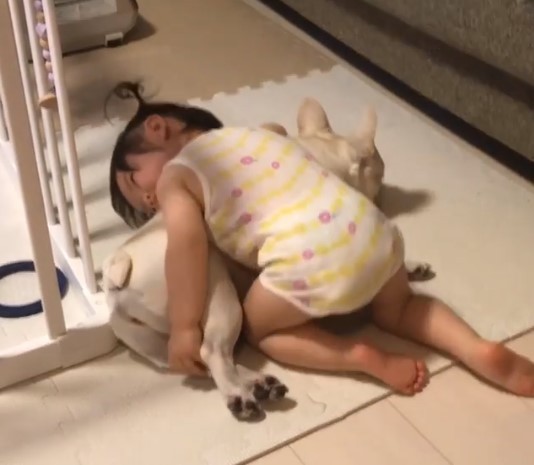 ǂuhbOƏ̎q@摜񋟁FcLƃAJi@muu____0919j