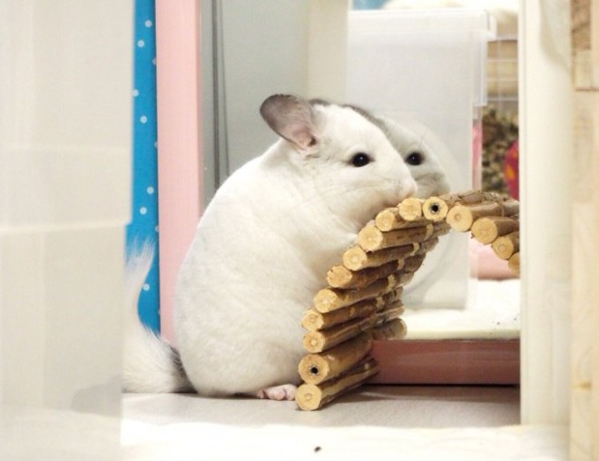 �t��������