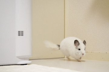 �t��������