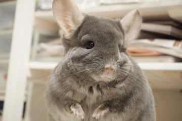 ���[������