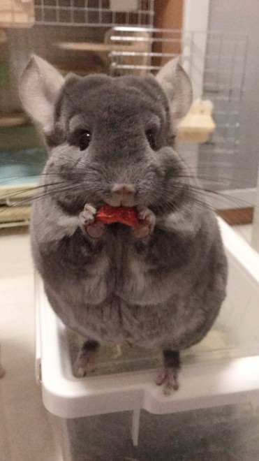 ���[������