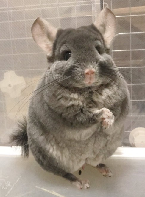 ���[������