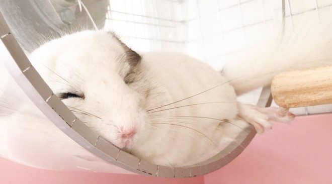 �t��������