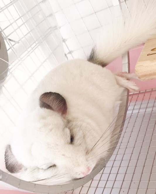 �t��������