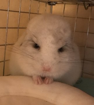 �t��������