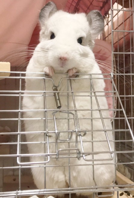 �t��������