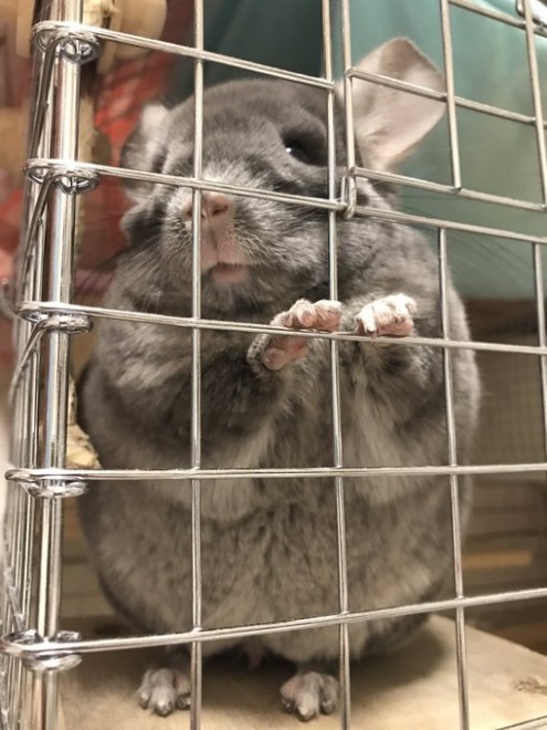 ���[������