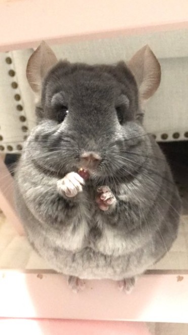 ���[������