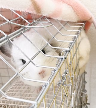 �t��������