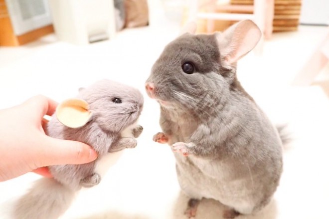 ���[������