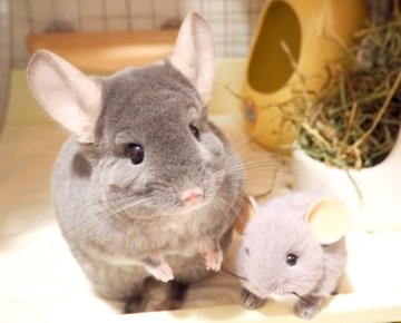 ���[������