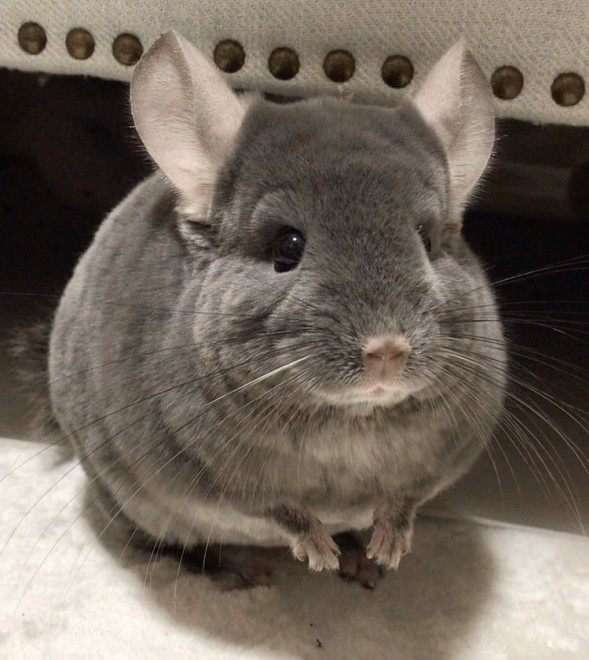 ���[������