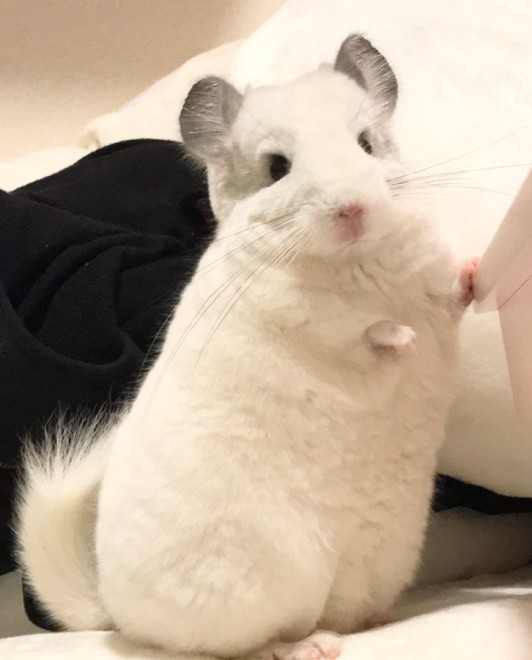 �t��������