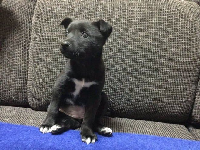 q̂ǂȂтB܂Ȑ̂ɂȂĂ܂Ȃāc