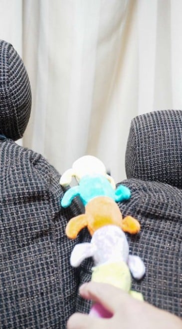 傳񂪂悭ĂVсBԂ̃V[gɂE΂Ɓc