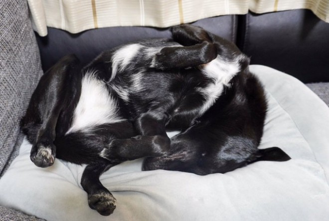 ȐQ񂾁cB傳т肳Aт