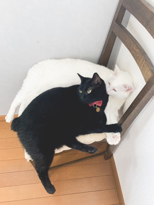 1˂̒j̎qɖYuƁALm[An`LO̓