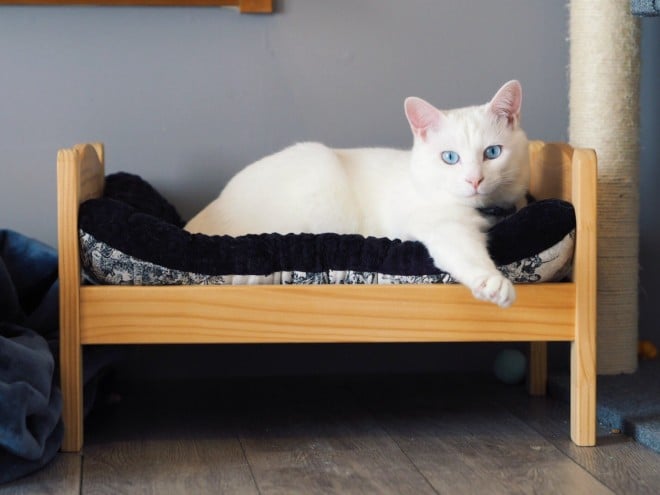 1˂̒j̎qɖYuƁALm[An`LO̓