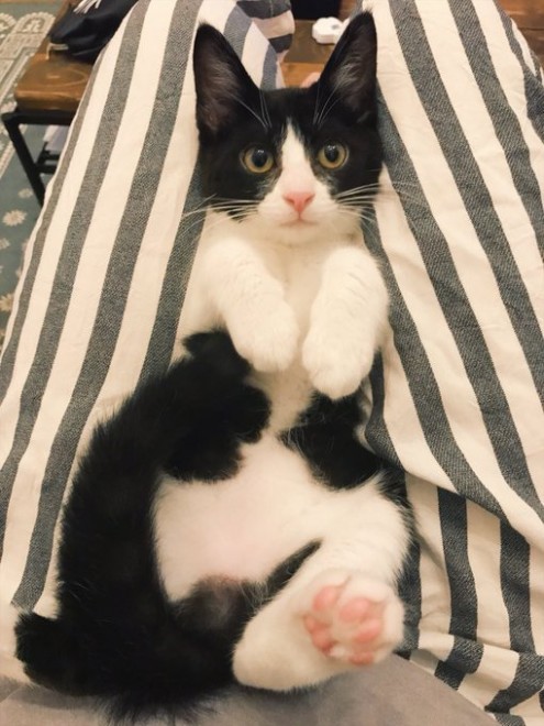 1˂̒j̎qɖYuƁALm[An`LO̓